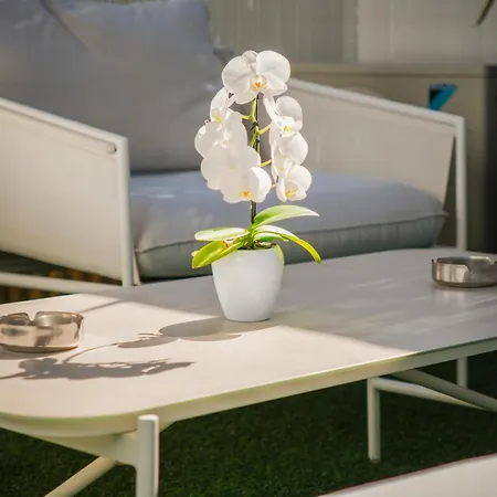 Bono Jacuzzi & アパート